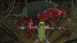 Image de Rickornichon
