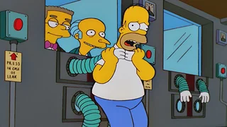 Image de Homer perd la boule