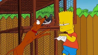 Image de Combien pour cet oiseau dans la vitrine ?