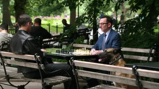 Image de Une vie normale