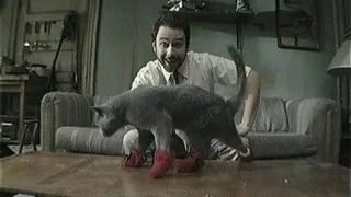Image de Paddy's Pub : L'Inventeur des chaussettes pour chats