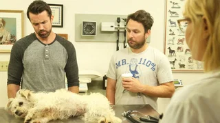 Image de Épisode 9