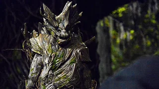Image de Les racines de la vengeance