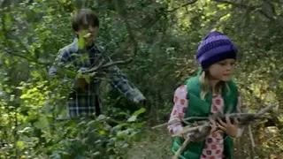Image de Dans les bois