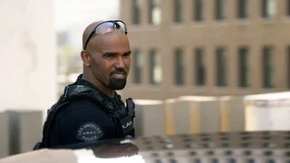 Image de La paix des gangs