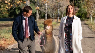 Image de Panique au parc