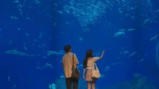 Image de Épisode 2