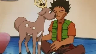 Image de Le tout petit des grands bois