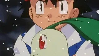 Image de Une nouvelle amitié