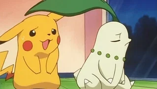 Image de Le Pokémon blues
