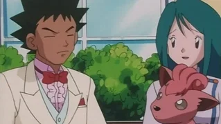 Image de Le concours de beauté