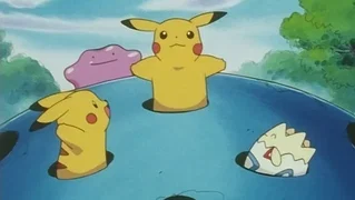 Image de Imitation, confrontation
