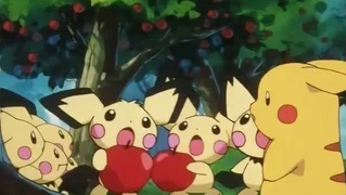 Image de La compagnie des pommes