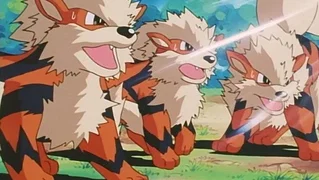 Image de La Team Rocket se déchaîne