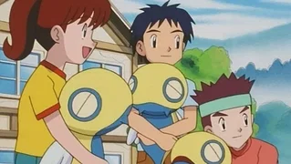 Image de Un Pokémon nommé Désir