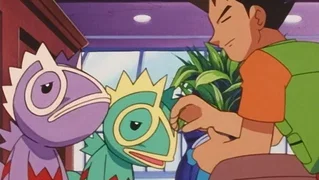Image de Kecleon kleptomane