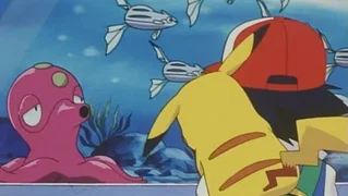 Image de Le vilain petit canard