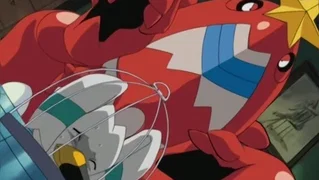 Image de La Team Aqua