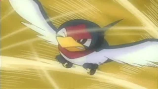 Image de Le tournoi de Pokévolanneaux