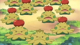 Image de Un Chapignon plutôt grognon
