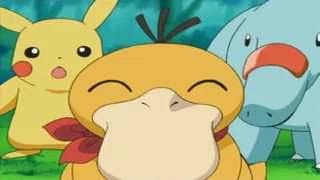 Image de Un Psykokwak fugueur