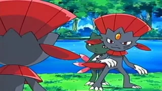 Image de Duel dans la forêt