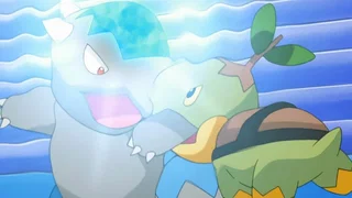 Image de Premier match à Sinnoh