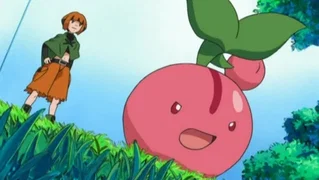 Image de Un combat écologique