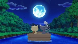 Image de Pour l'amour de Miaouss