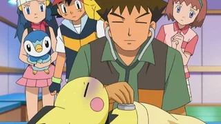 Image de Pierre, docteur Pokémon