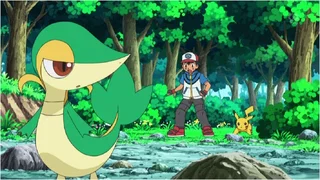 Image de Vipélierre se fait désirer !