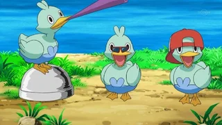 Image de Danse avec les Couaneton !