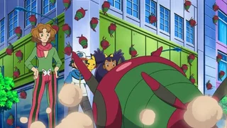 Image de L'invasion des Venipatte !
