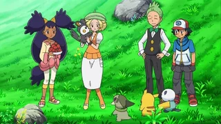 Image de L'irrésistible Emolga !