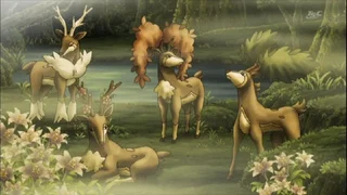 Image de Les quatre saisons de Haydaim