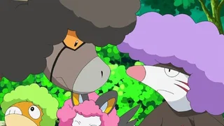 Image de Sur le territoire des Frison !