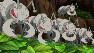 Image de À la poursuite des voleurs de feuilles !