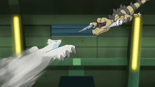 Image de Combat glacial à Flocombe !