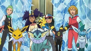 Image de L'équipe Évoli et l'organisation de secours Pokémon !