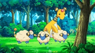 Image de La Lumière du Ranch d'Amaillide !