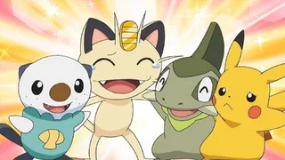 Image de Miel et mésaventures !