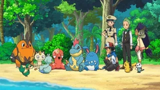 Image de Les Pirates des Îles Décolores !