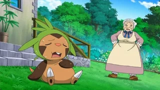 Image de Un gros appétit pour le combat !