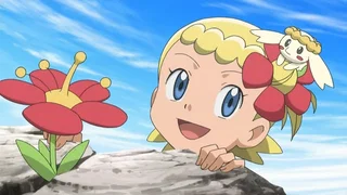 Image de À la recherche de la Fleur Fée !