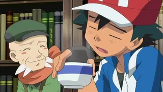 Image de Une Arène végétale pour des Pokémon Plante !