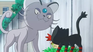 Image de Ce coquin de Flamiaou !