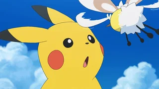 Image de Sauvetage et rencontres !