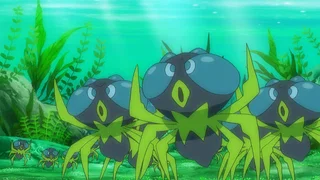 Image de La capture de Néphie !