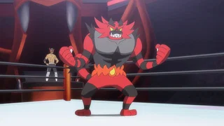 Image de La naissance d'une flamme royal !