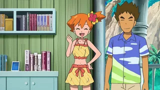 Image de Alola, Alola !